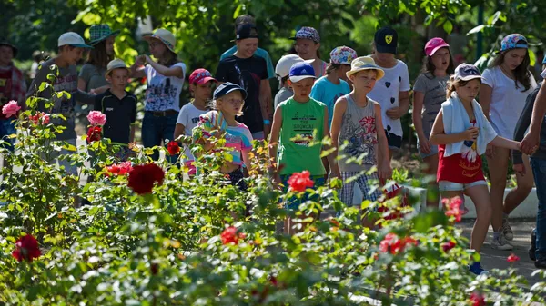Детский оздоровительный лагерь Бригантина в Крыму