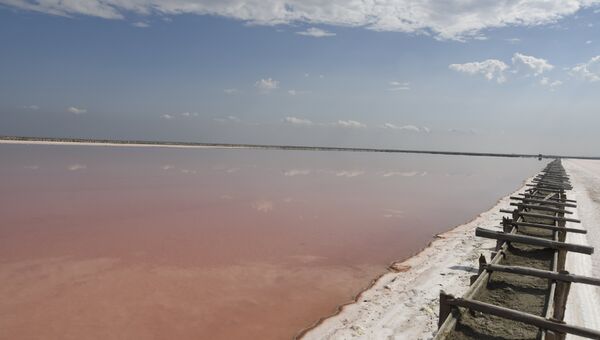 Добыча крымской розовой соли на озере Сасык-Сиваш