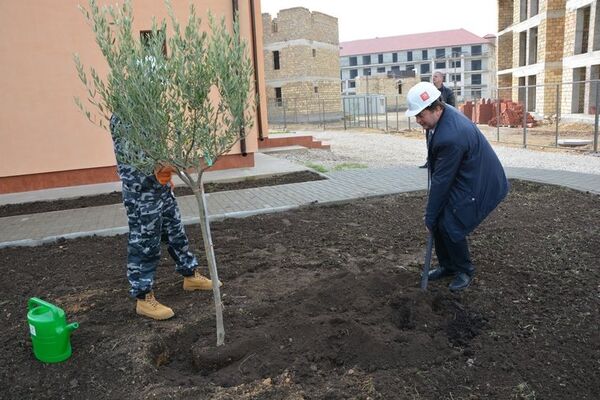 Итальянские депутаты и руководство Группы компаний КСК заложили оливковую аллею в честь старта строительства новой очереди комплекса Итальянская деревня в Крыму Итальянские депутаты и руководство Группы компаний КСК заложили оливковую аллею в честь старта строительства новой очереди комплекса Итальянская деревня в Крыму