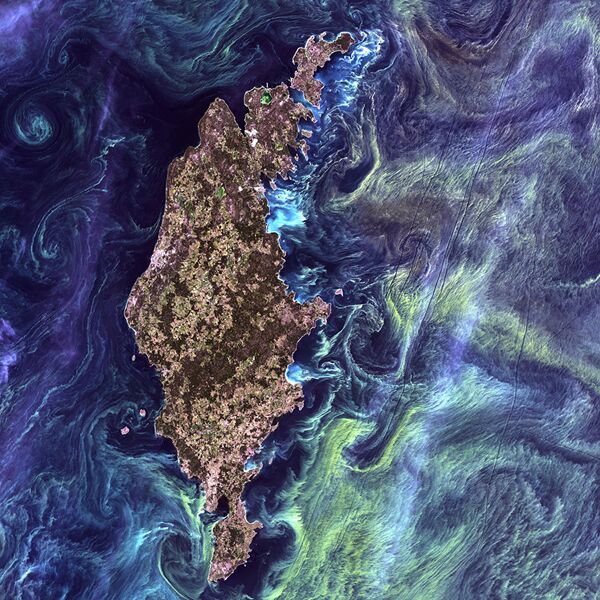 Массовые скоплений фитопланктона в темной воде вокруг острова Готланд в Балтийском море. 2005 год