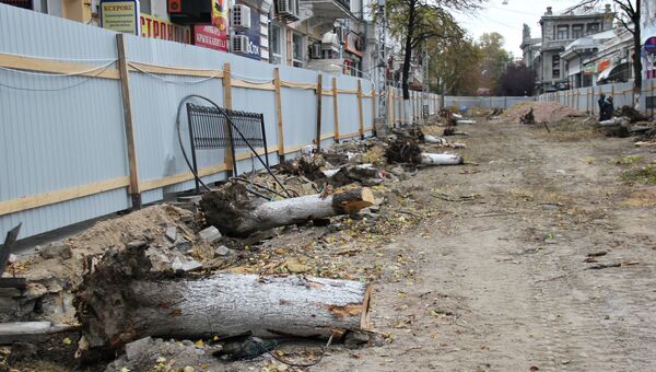 Снос деревьев в рамках реконструкции центральных улиц Симферополя