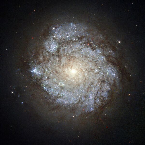 Галактика NGC 278 в созвездии Кассиопеи, звезды в которой рождаются необычным образом