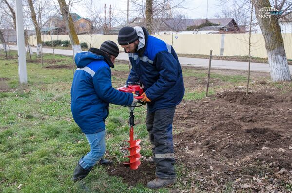 Высадка деревьев Высадка деревьев