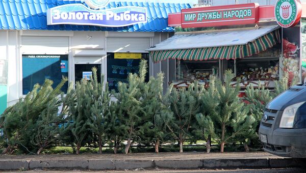 Продажа елок в Севастополе