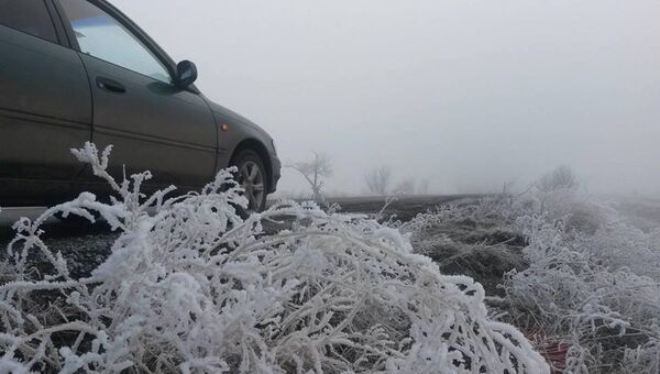Зимний туман в степном Крыму