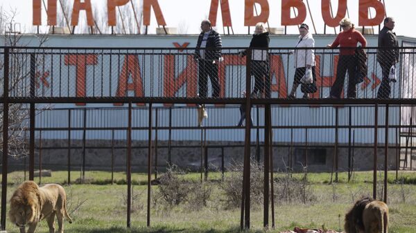 Сафари-парк львов Тайган в Крыму
