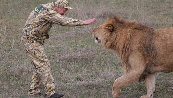 Парк львов Тайган в Крыму