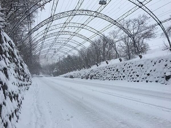 Снегопад в Ялте глазами пользователей соцсетей