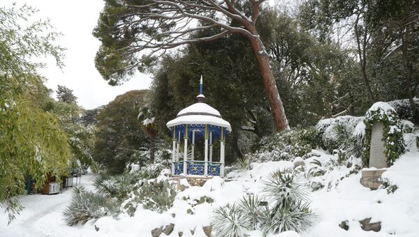Зима в Никитском ботаническом саду