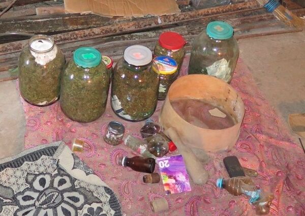 В Керчи нашли 3 кг марихуаны, закопанные в огороде местного жителя В Керчи нашли 3 кг марихуаны, закопанные в огороде местного жителя