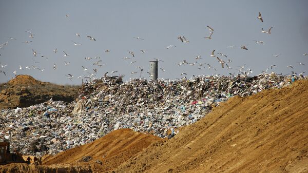 Навалы мусора на полигоне ТБО в Крыму