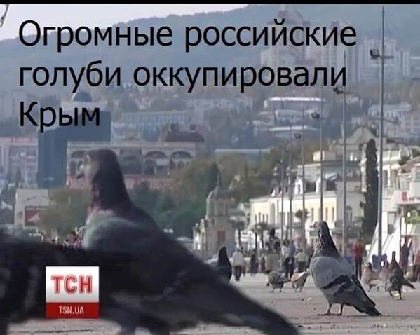 Шуточная картинка по поводу так называемой оккупации Крыма