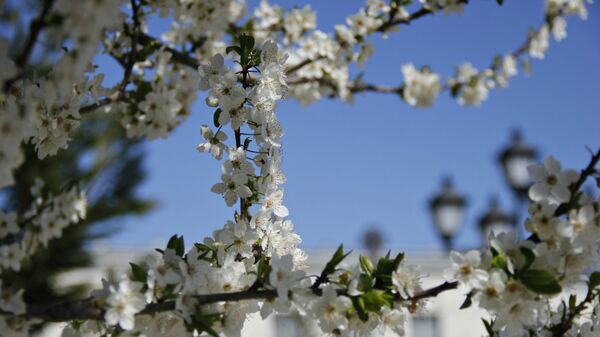 Весна в Симферополе