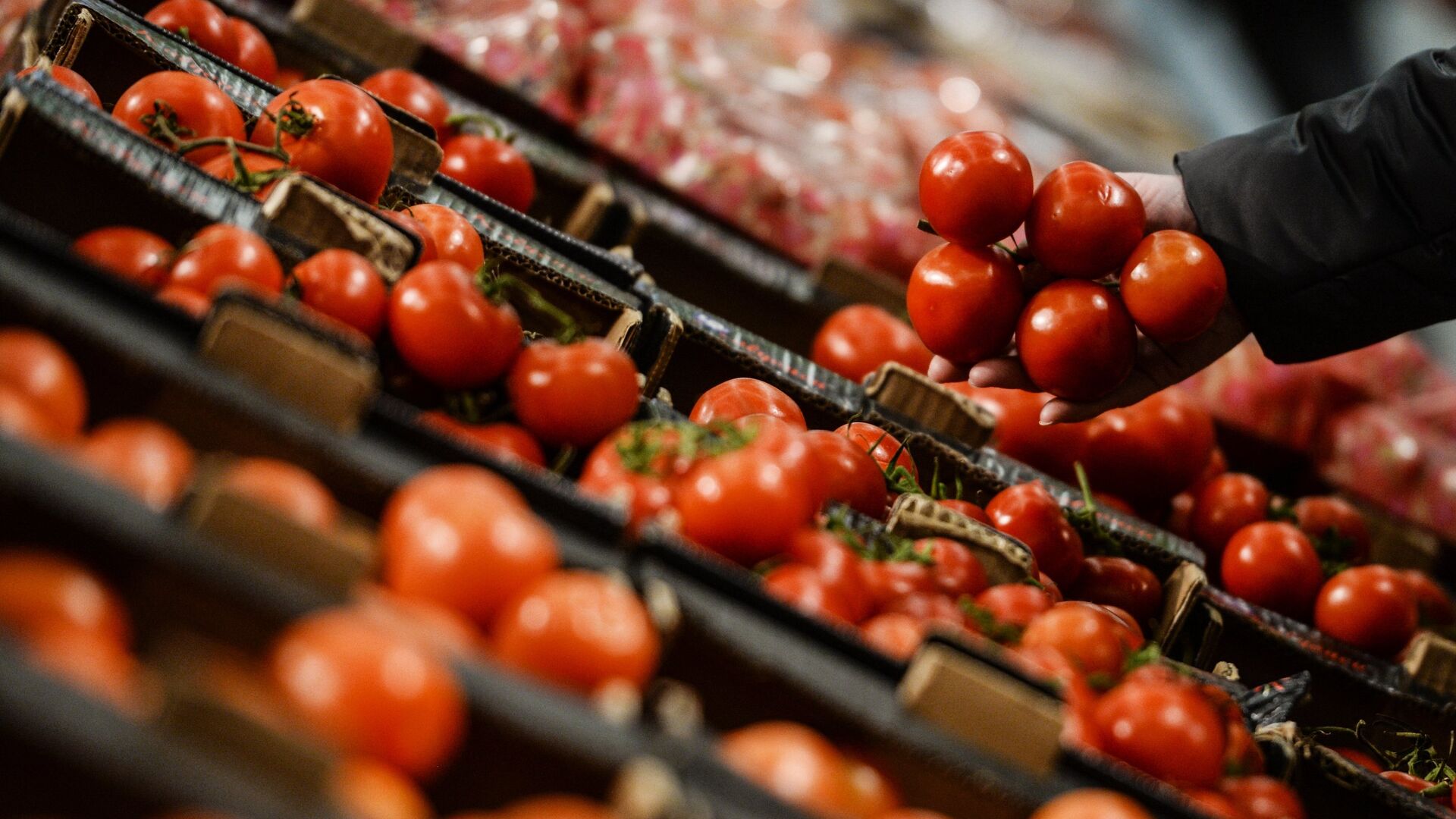 Посетитель выбирает помидоры в супермаркете - РИА Новости, 1920, 01.08.2019