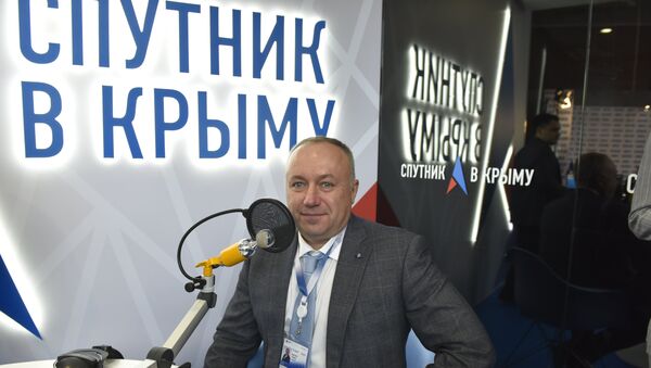 Член президиума генерального совета Деловой России Дмитрий Пурим в выездной студии радио Спутник в Крыму на ЯМЭФ-2017