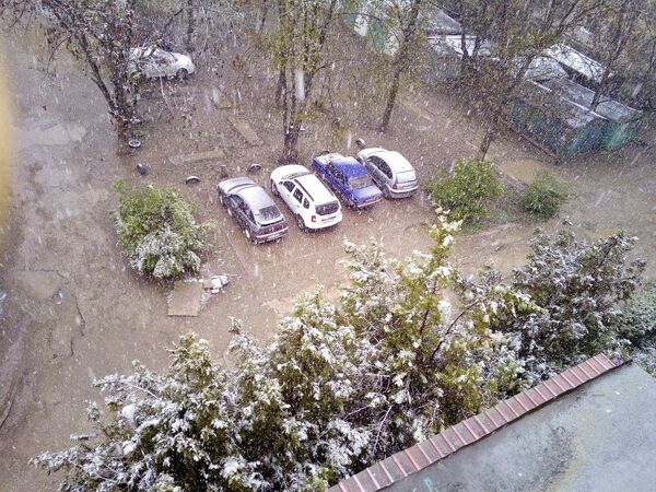 Снегопад в Симферополе. 23 апреля 2017