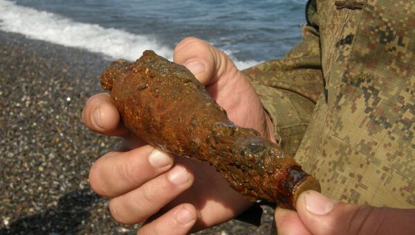 Спасатели нашли минометные мины времен Великой отечественной войны возле пляжа в Крыму
