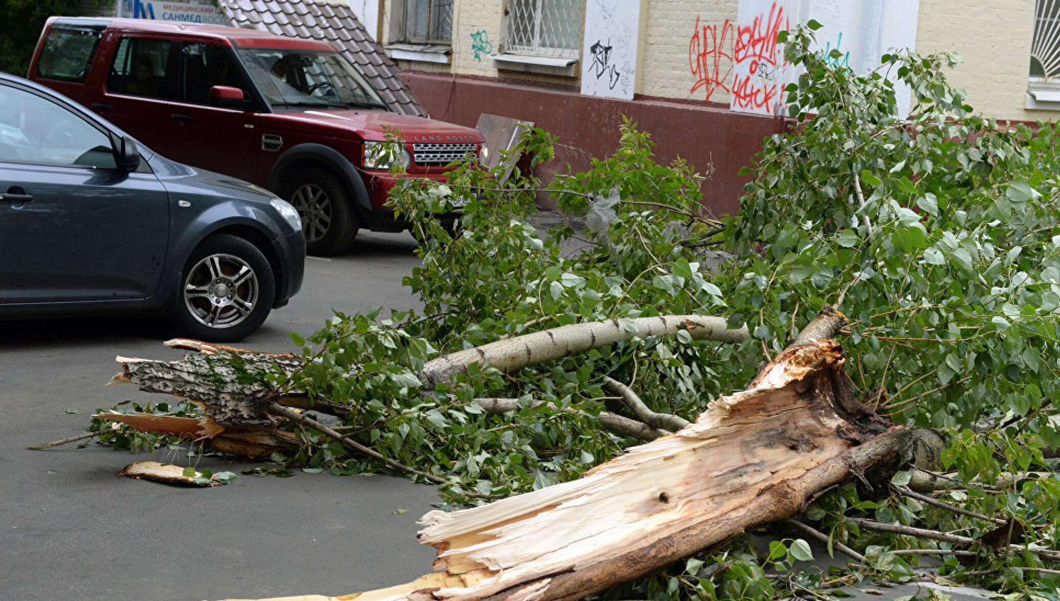 Ураган в москве вчера. Ураган в Москве 1998. Торнадо в Москве 1998. Ураган в Москве (2017). Упавшее дерево.