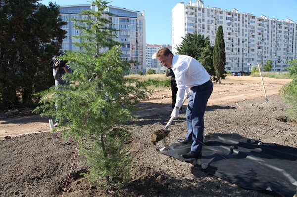Врио губернатора Севастополя Дмитрий Овсянников принял участие в высадке аллеи героев спорта Динамовский лес Врио губернатора Севастополя Дмитрий Овсянников принял участие в высадке аллеи героев спорта Динамовский лес