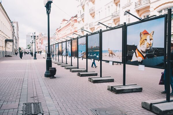 На Старом Арбате в Москве открылась фотовыставка про Крымский мост На Старом Арбате в Москве открылась фотовыставка про Крымский мост