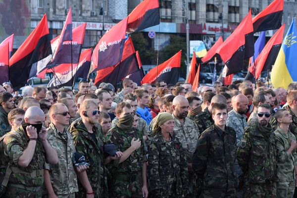 Народное вече организации Правый сектор в Киеве Народное вече организации Правый сектор в Киеве