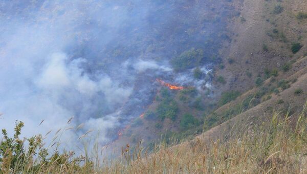 Лесной пожар в районе села Громовка под Судаком