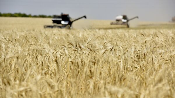 Уборка зерновых в Белогорском районе Крыма