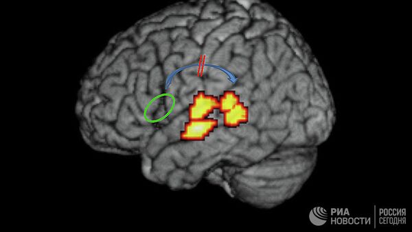 Ученые определили главную причину дислексии: по их мнению, она возникает из-за нарушения коммуникации между областями мозга, которые обрабатывают речевую информацию, и областью Брока – центром, управляющим речью