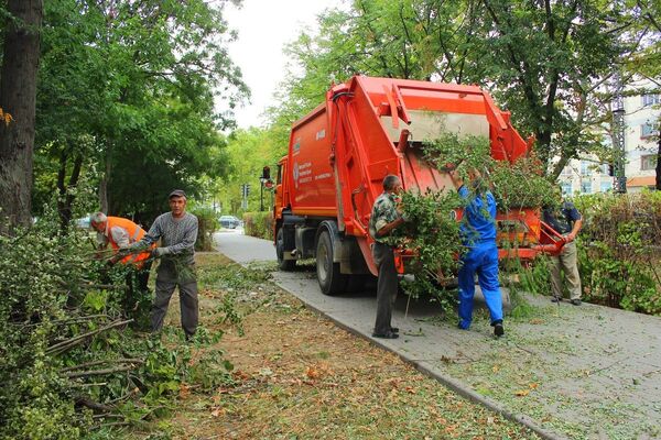 Рабочие обрезают растения в сквере им. К. Тренева в Симферополе Рабочие обрезают растения в сквере им. К. Тренева в Симферополе