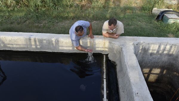 Жители поселка Коктебель проверяют качество воды в отстойнике очистных сооружений