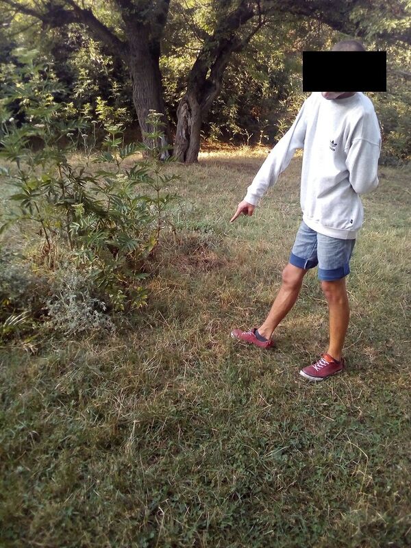 В Кировском районе правоохранители нашли схрон наркотиков в частном домовладении 19-летнего крымчанина В Кировском районе правоохранители нашли схрон наркотиков в частном домовладении 19-летнего крымчанина