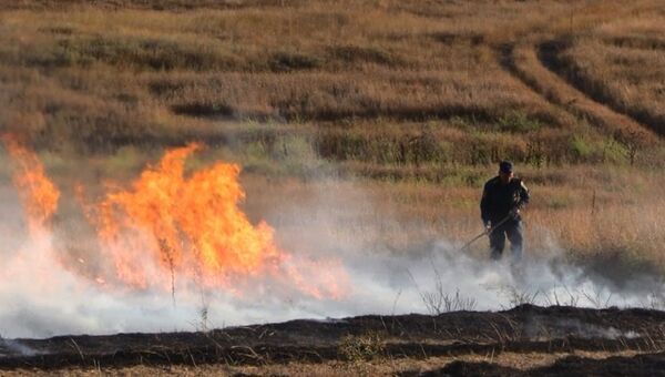 Загорание травы в Симферопольском районе