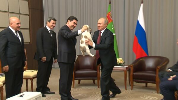 Путину подарили щенка алабая по кличке Верный