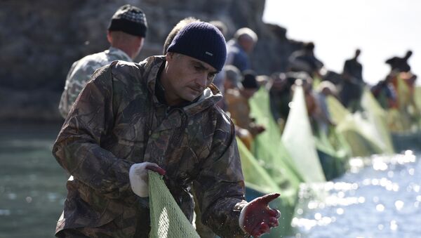 Рыбаки во время ловли рыбы при помощи сетей на мысе Тарханкут. Большой Атлеш