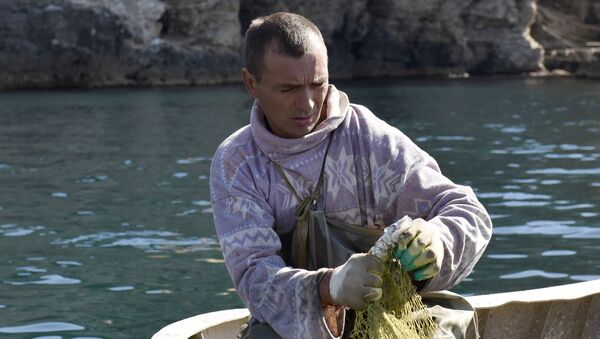 Рыбак достает рыбу из сетей во время ловли рыбы на мысе Тарханкут. Большой Атлеш