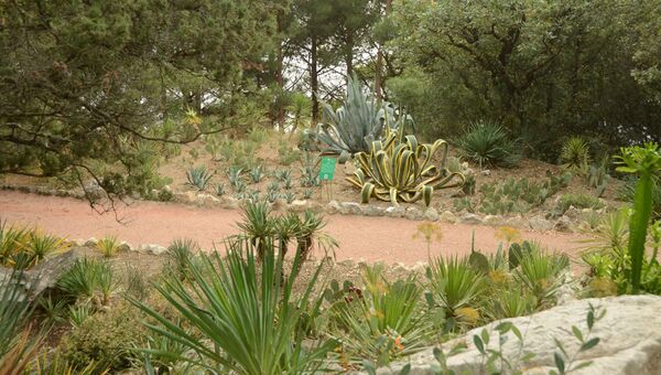 Парк Монтедор в Никитском ботаническом саду