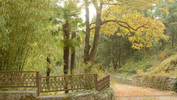 Парк Монтедор в Никитском ботаническом саду