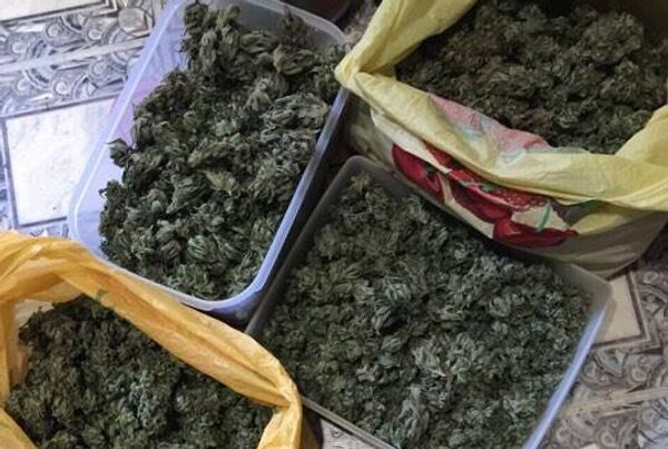 В Одессе перекрыли канал поставки марихуаны в Крым