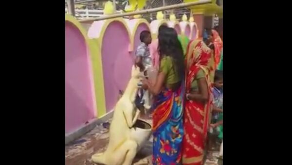 Жители деревни в Индии приняли мусорную урну за фигуру божества