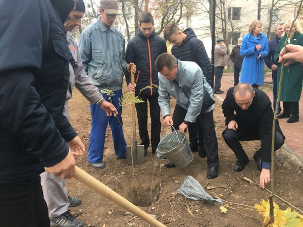 Высадка деревьев в открытом после благоустройства сквере в Новофедоровке Сакского района Высадка деревьев в открытом после благоустройства сквере в Новофедоровке Сакского района