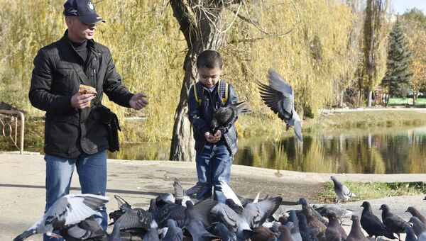 Мужчина и мальчик кормят голубей в парке им. Гагарина в Симферополе