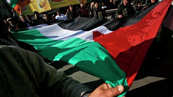 Палестинцы с национальным флагом