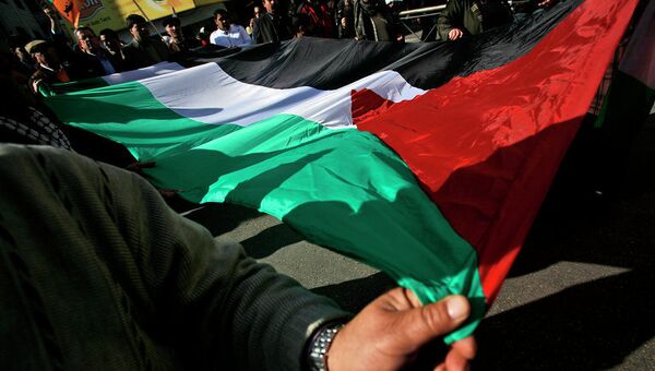 Палестинцы с национальным флагом