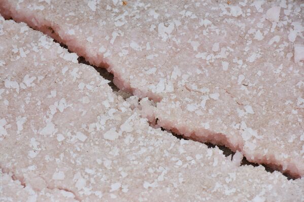 Добыча розовой соли на на озере Сасык-Сиваш в Сакском районе