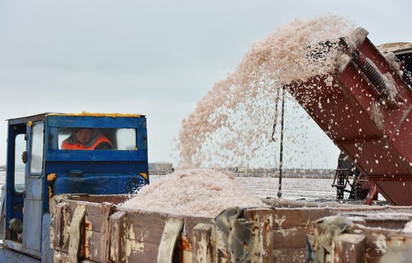 Добыча розовой соли на на озере Сасык-Сиваш в Сакском районе