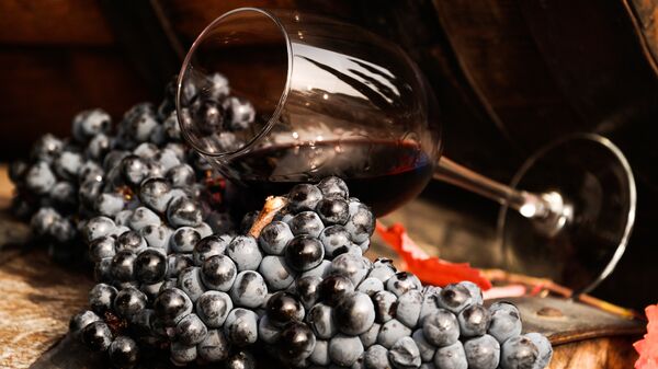 Виноградная лоза и вино в бокале на винодельческом предприятии Массандра