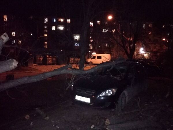 Ветер в Симферополе повалил дерево на машину Ветер в Симферополе повалил дерево на машину