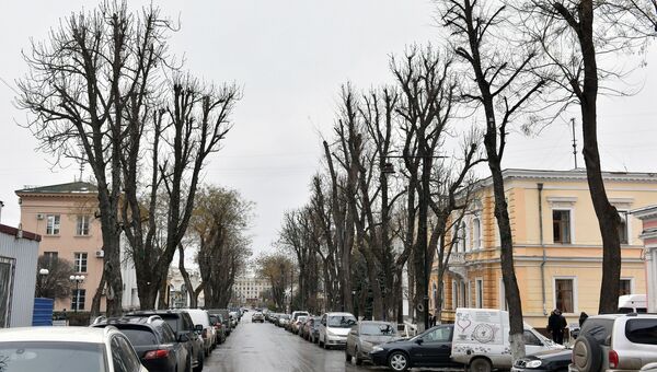 Обрезанные деревья на ул. Горького в Симферополе