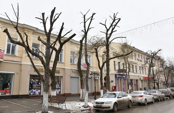 Обрезанные деревья на ул. Горького в Симферополе Обрезанные деревья на ул. Горького в Симферополе