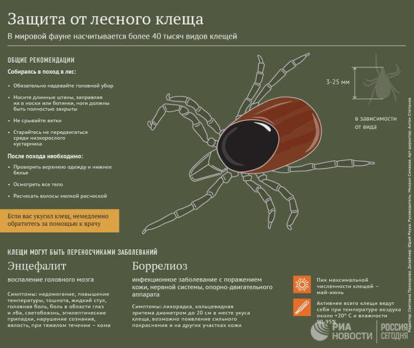 Защита от лесного клеща Защита от лесного клеща